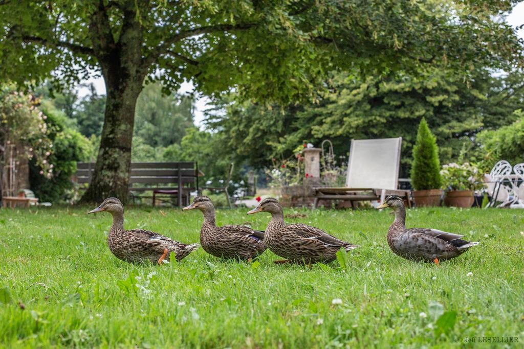 La Ferme De Marie Eugenie Bed and Breakfast Bruailles Εξωτερικό φωτογραφία